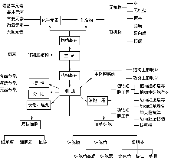 生命的基础 含细胞工程